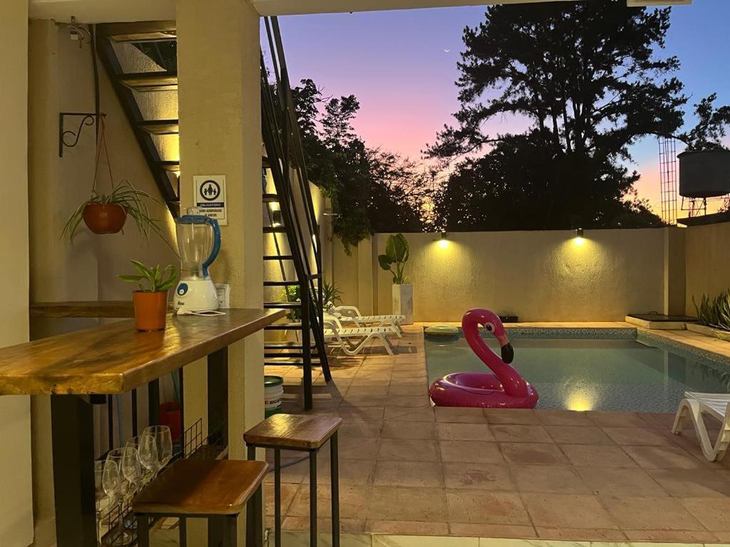 Colibri Hostel 伊瓜苏港 外观 照片