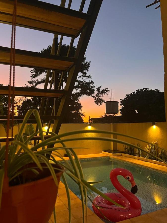 Colibri Hostel 伊瓜苏港 外观 照片